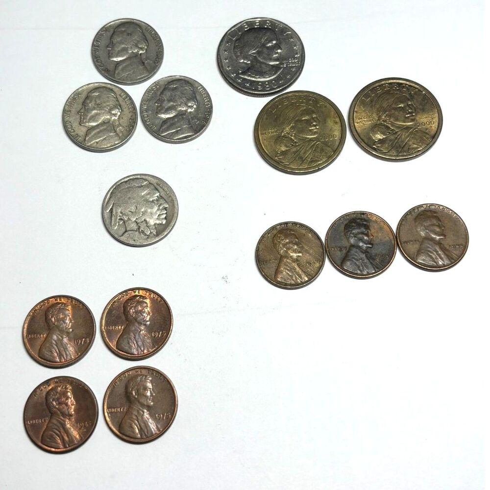 Vintage Coin Lot Buffalo Nickel Wheat Pennies Sacagawea Susan B Anthony 14 Coins